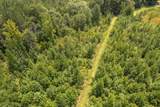 18 Acres Peps Point Rd - Photo 13