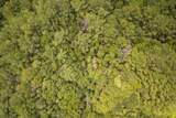 18 Acres Peps Point Rd - Photo 15