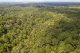 18 Acres Peps Point Rd - Photo 9