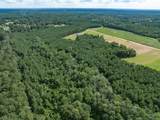 Parcel B J Runnels Rd. - Photo 13