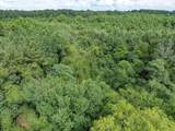 Parcel C J Runnels Rd. - Photo 10