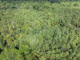 Parcel C J Runnels Rd. - Photo 11