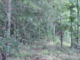 00 Abby Lane (Lot 11) - Photo 13