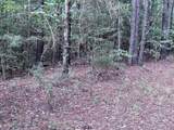204 Ella Pt (Lot 16) - Photo 3