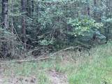 204 Ella Pt (Lot 16) - Photo 8