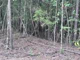 198 Ella Point (Lot #14) - Photo 3