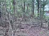 200 Ella Point (Lot #15) - Photo 4
