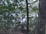 200 Ella Point (Lot #15) - Photo 5
