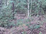200 Ella Point (Lot #15) - Photo 6