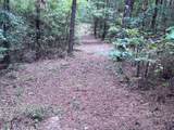 00 Lars Road (Lot 36) - Photo 5