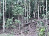 201 Ella Point (Lot 31) - Photo 6