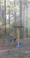 000 Breakfield - Photo 6