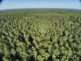 TBD Holly Springs Rd - Photo 16