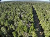 TBD Off Of Tilton Rd - Photo 11