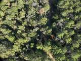 TBD Off Of Tilton Rd - Photo 9