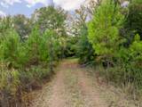 10.4 Mol Ac Pete Miles Rd. - Photo 13