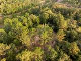10.4 Mol Ac Pete Miles Rd. - Photo 15