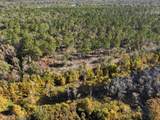 160 Mol Ac Old Hwy 24 - Photo 11