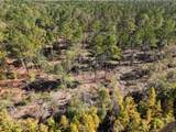 160 Mol Ac Old Hwy 24 - Photo 12