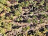 160 Mol Ac Old Hwy 24 - Photo 17