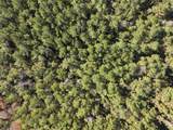 160 Mol Ac Old Hwy 24 - Photo 19