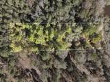 1.12 Mol Ac Old Hwy 24 Parcel 21 - Photo 1