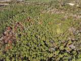 18 Mol Ac Old Hwy 24 Parcel 31 - Photo 2