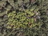 18 Mol Ac Old Hwy 24 Parcel 35 - Photo 6