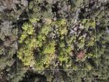 18 Mol Ac Old Hwy 24 Parcel 36 - Photo 1