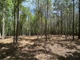 Parcel 4 Stovall Ln. - Photo 4
