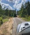 302 Acre Old Hwy 49 - Photo 2