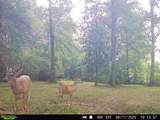 538 County Home Rd. - Photo 42