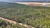000 Saracennia Point - Photo 1