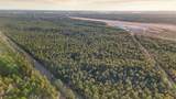 000 Saracennia Point - Photo 4