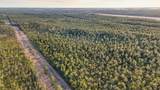 000 Saracennia Point - Photo 5