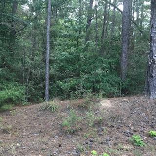 1440 Columbia Purvis Rd. - Photo 1