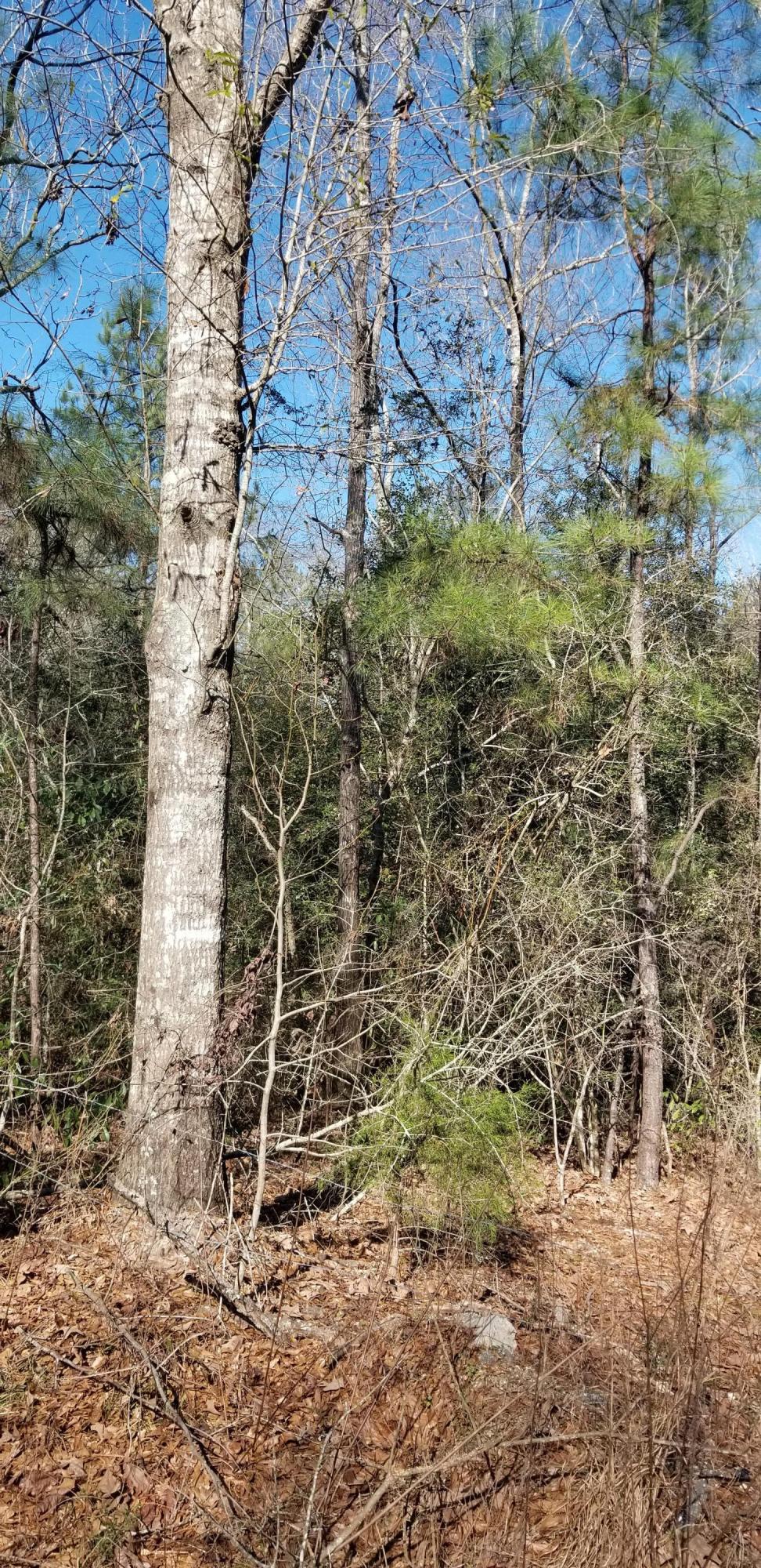 62 Cross Rd. - Photo 1