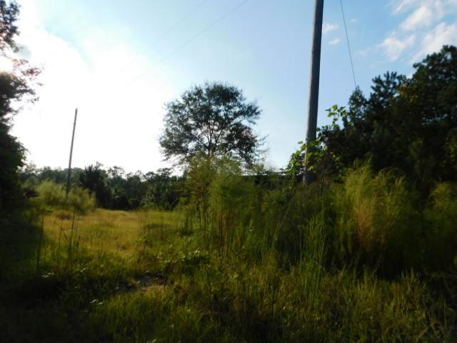 xxx Ms-532 - Photo 1