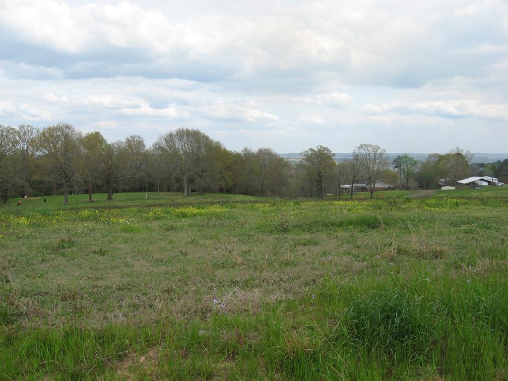 LOT 21 Hwy 29 - Photo 1