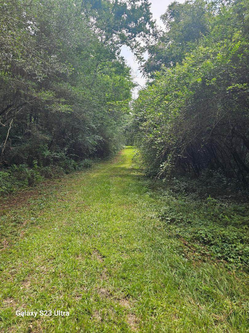 Lot 150 Glendale - Photo 1