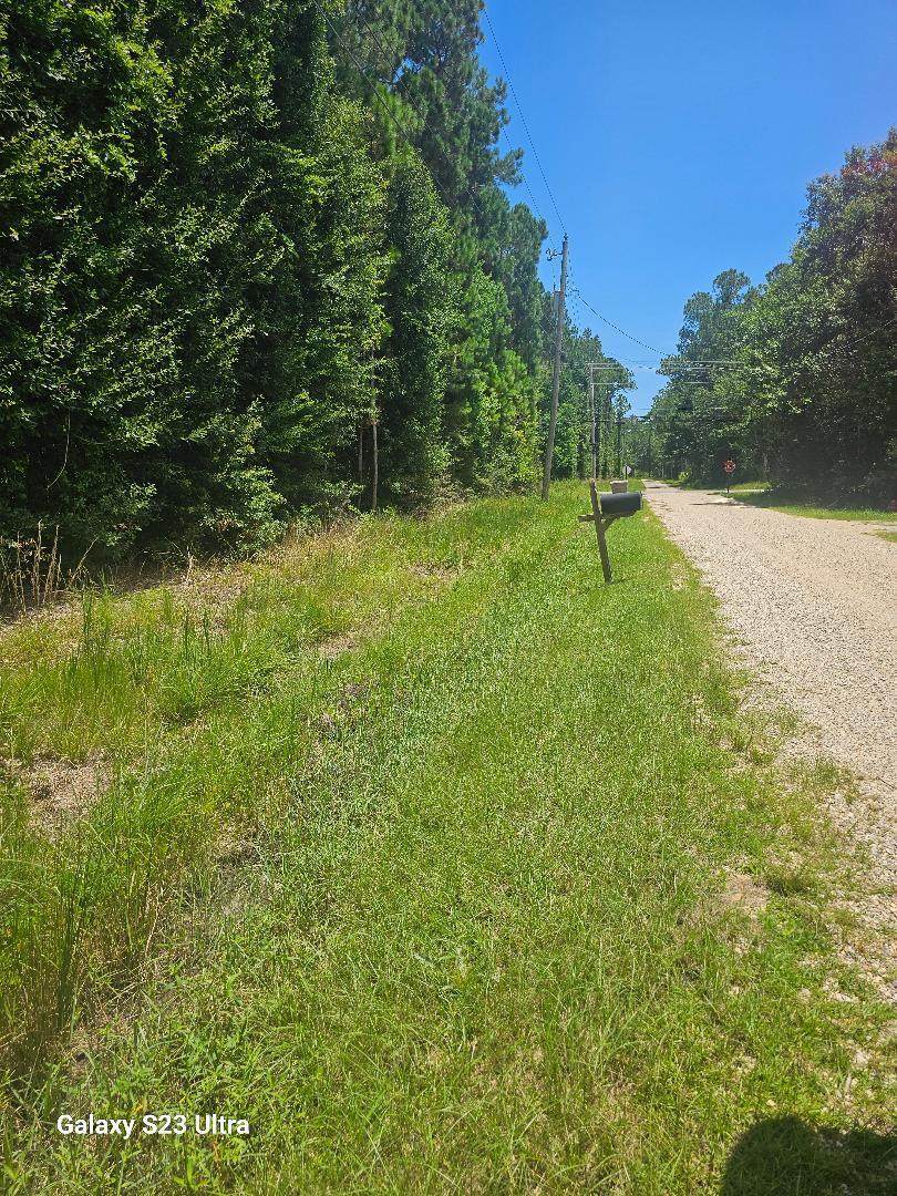 Lot 170 Bisbee - Photo 1