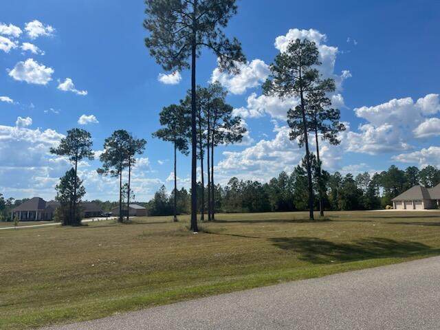https://bt-photos.global.ssl.fastly.net/hattiesburg/orig_boomver_1_144331-2.jpg