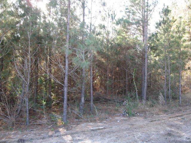 Lot 1 Parkview Estates - Photo 1