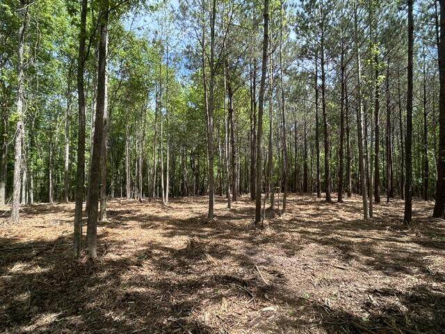 https://bt-photos.global.ssl.fastly.net/hattiesburg/orig_boomver_1_146599-2.jpg