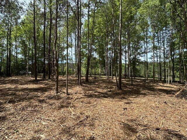 https://bt-photos.global.ssl.fastly.net/hattiesburg/orig_boomver_1_146600-2.jpg
