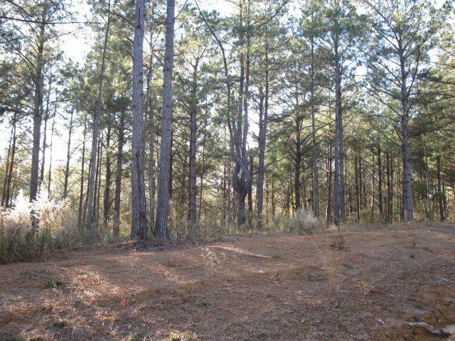 Lot 2 Parkview Estates - Photo 1