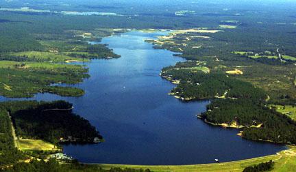 9 Loblolly Big Bay Lake - Photo 1