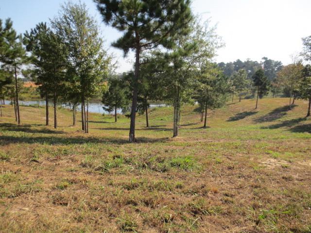 6 Eva Drive - Photo 1