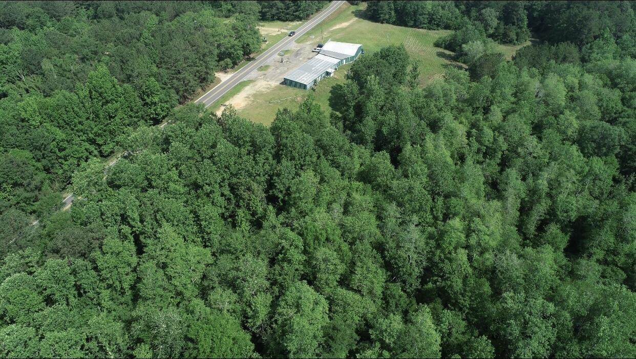 00 Hwy 589 5.60 Acres - Photo 1