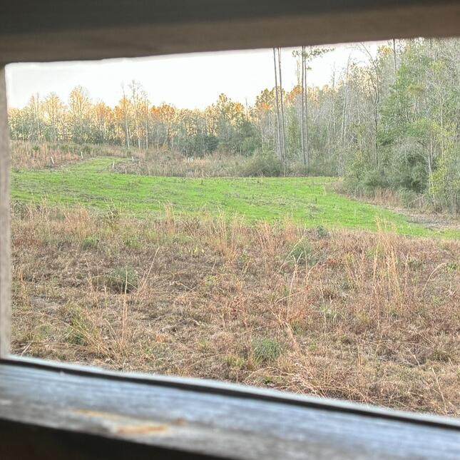 https://bt-photos.global.ssl.fastly.net/hattiesburg/orig_boomver_2_143912-2.jpg